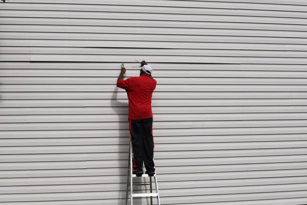 Best Aluminum Siding Installation  in Eielson Af, AK