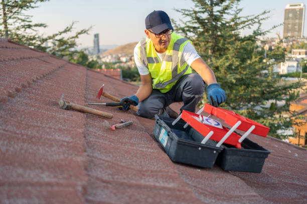 Best Wood Siding Installation  in Eielson Af, AK